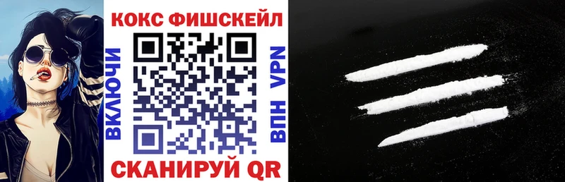 Кокаин Fish Scale  купить   Ясногорск 