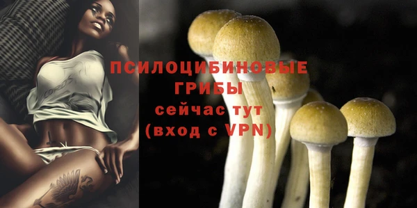 apvp Балабаново