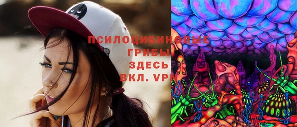 стафф Белокуриха
