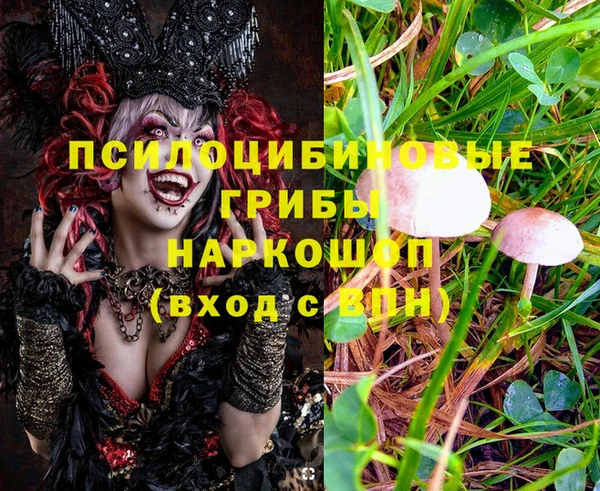 стафф Белокуриха