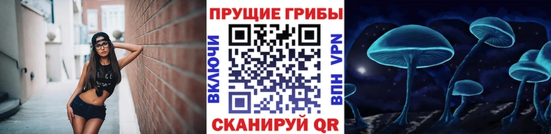 ссылка на мегу зеркало Ясногорск Псилоцибиновые грибы GOLDEN TEACHER